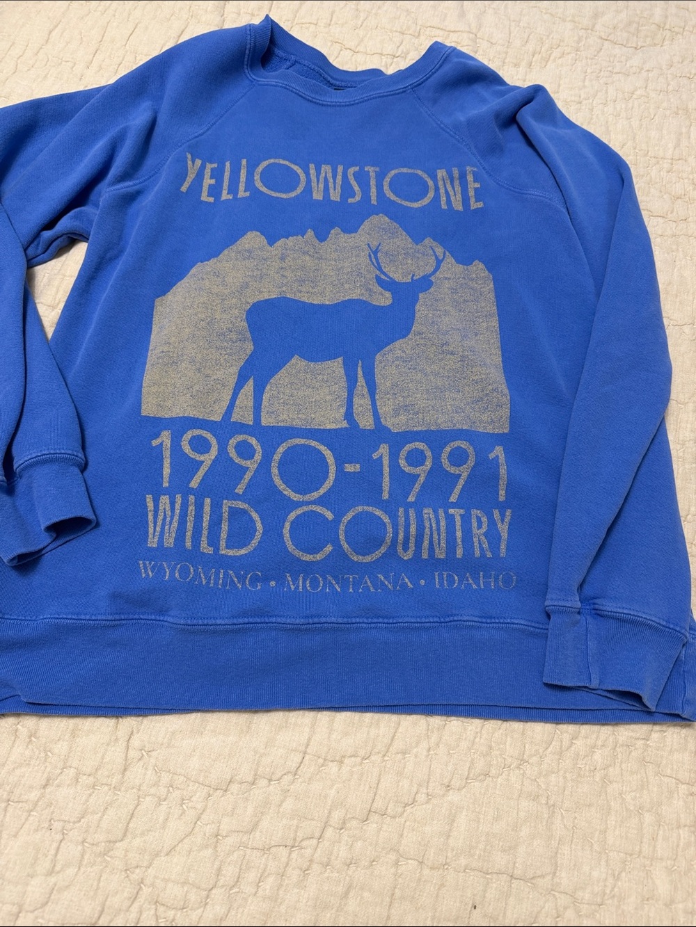 Blue Yellowstone Graphic Crew Sweatshirt